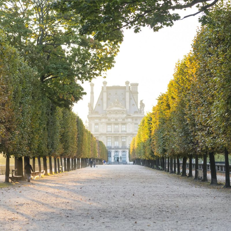 Paris - Sazi Imagens (1)