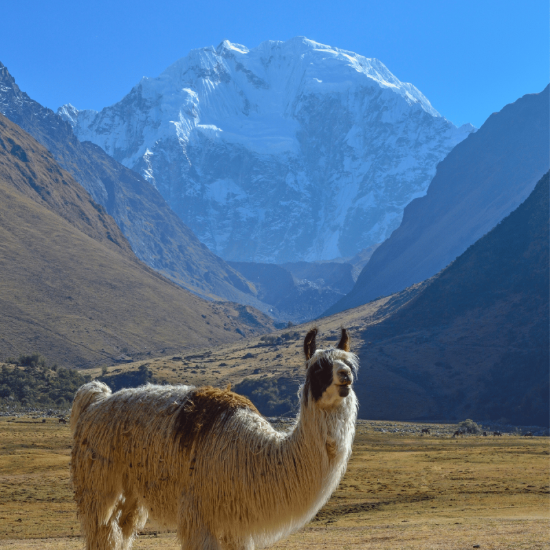 Savi Viagens - Peru (4)