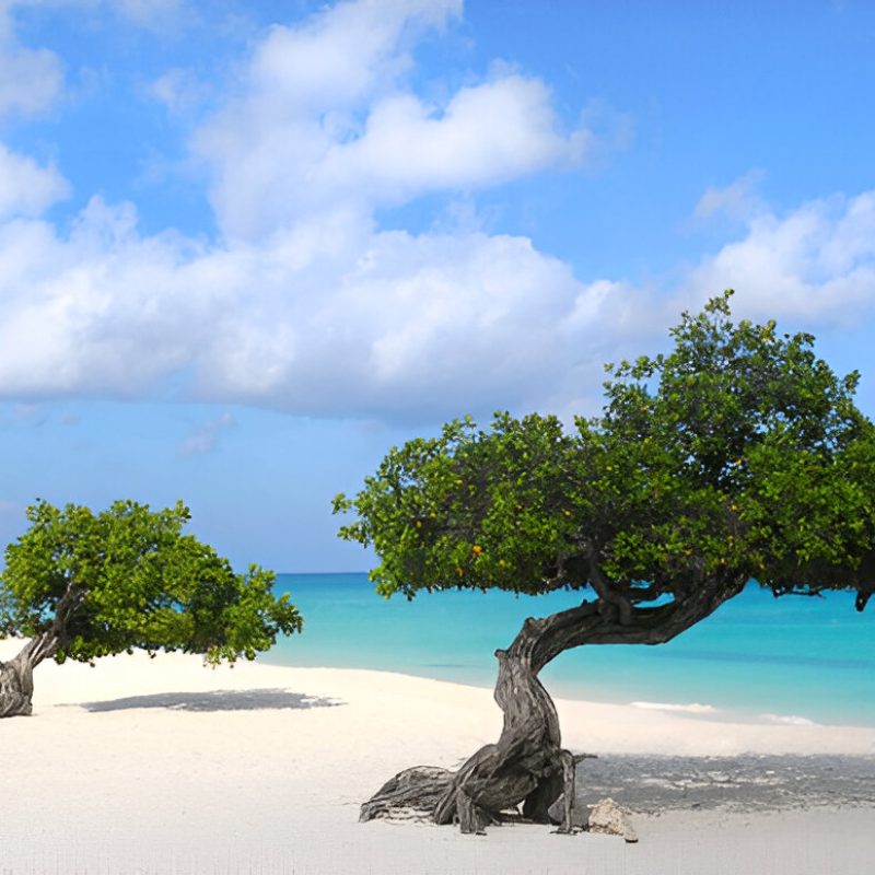 Sazi Viagens - Aruba (5)