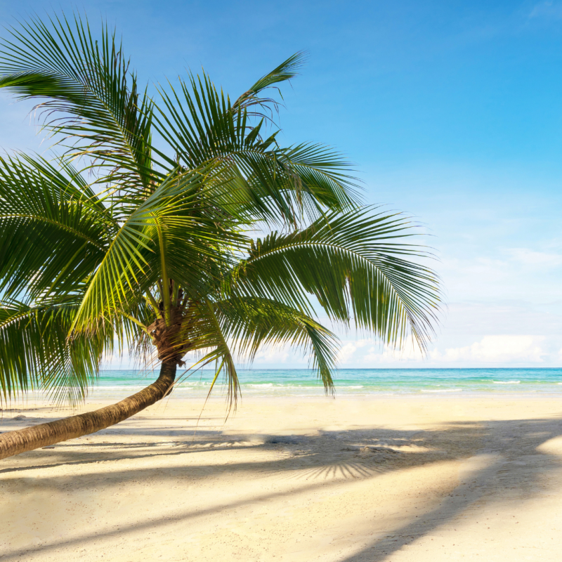 Sazi Viagens - Bahamas (1)