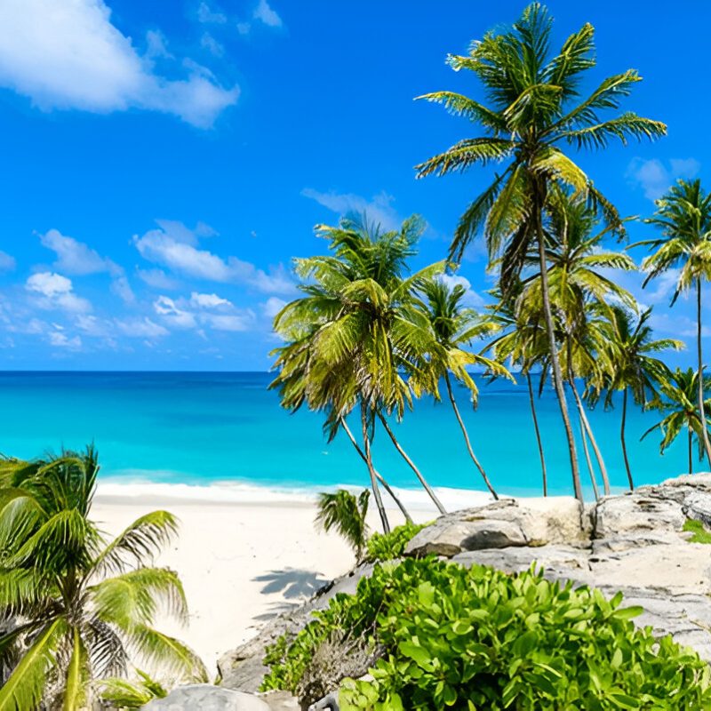 Sazi Viagens - Barbados (4)