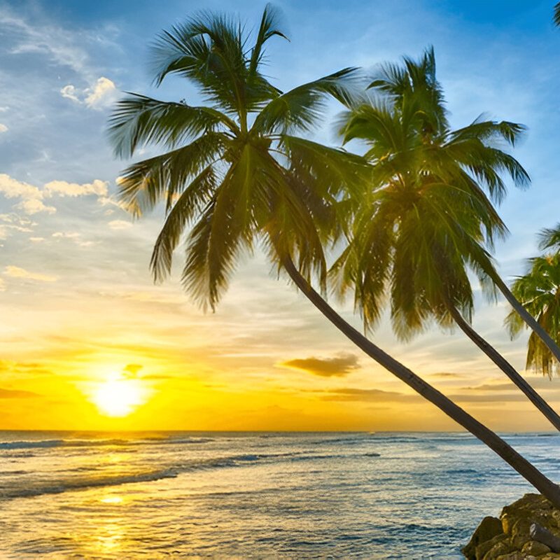 Sazi Viagens - Barbados (6)