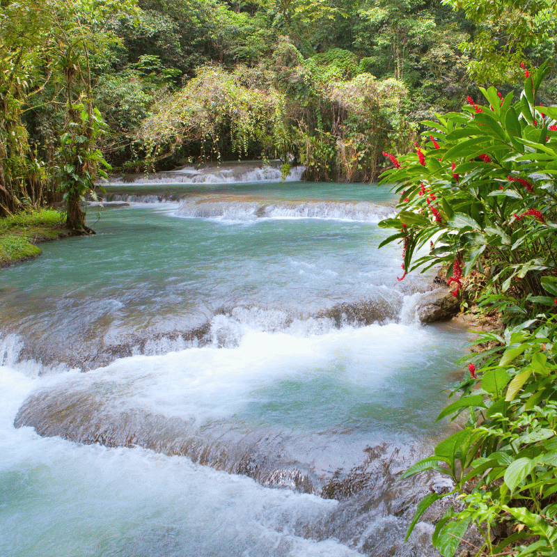 Sazi Viagens - Jamaica (4)