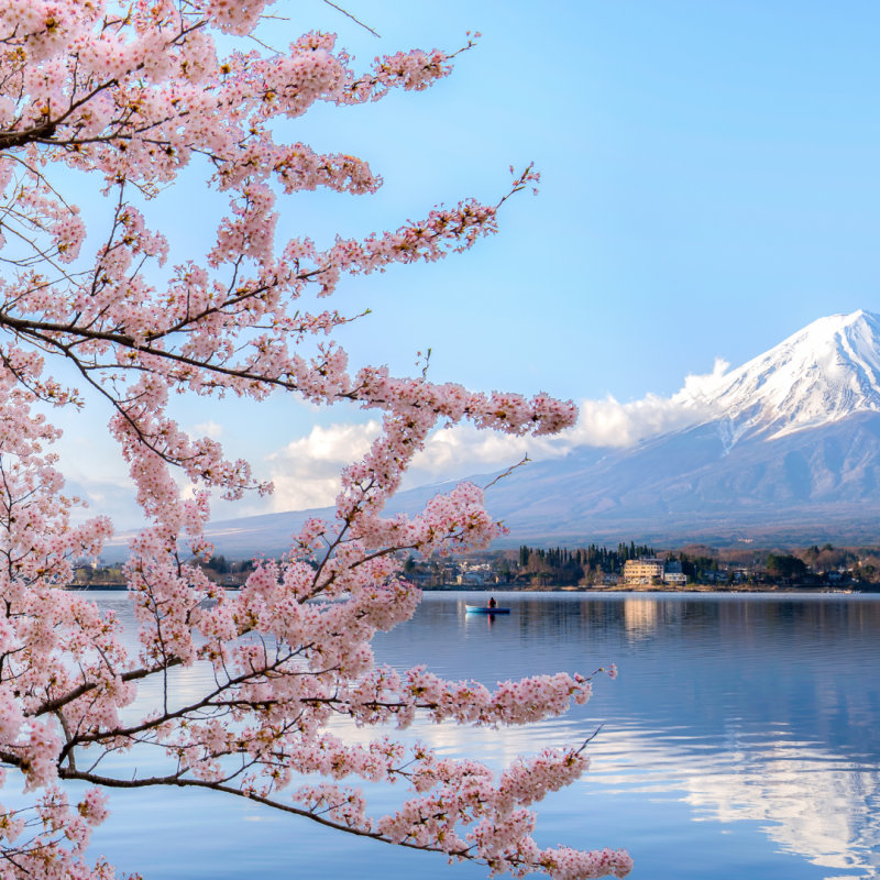 Sazi Viagens - Japão (1)