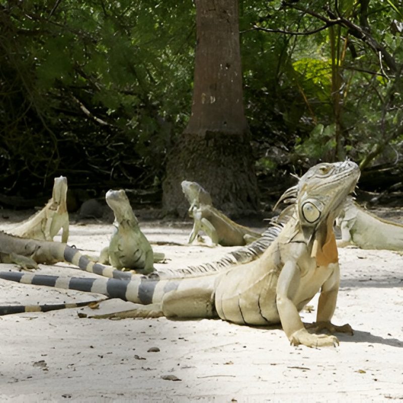 Sazi Viagens - San Andres (6)